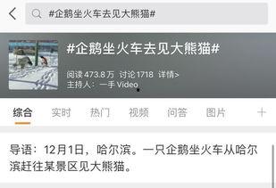 热点爆料话题大全最新